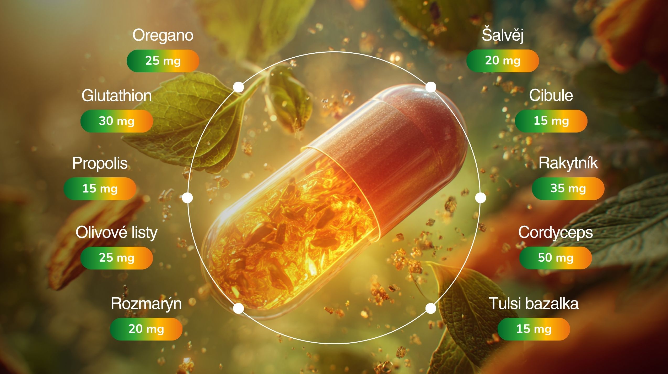 Betaglukan PREMIUM ULTRA IMUNITA KOMPLEX (+ Reishi, kurkuma, vitální houby, bylinné extrakty, Glutathion, NAC), 20 nejúčinnějších přírodních látek pro imunitu, 60 kapslí -6